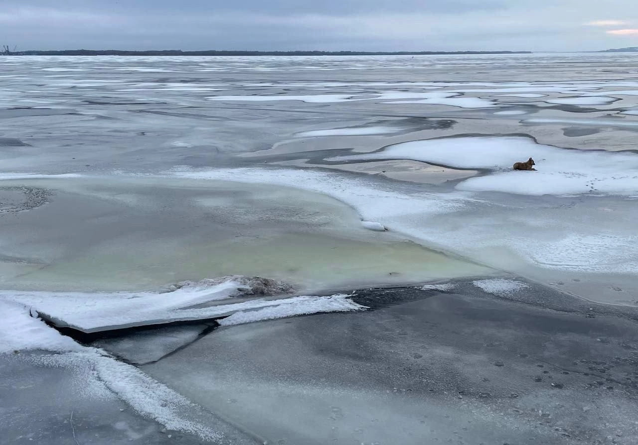 В Саратовской области вводится запрет выхода на лёд Волги